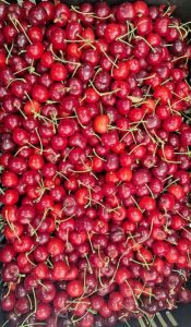 βιολογικά κεράσια πέλλας,biologika kerasia pellas,viologika,pellas,πελλας