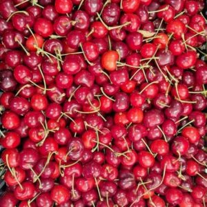 βιολογικά κεράσια πέλλας,biologika kerasia pellas,viologika,pellas,πελλας